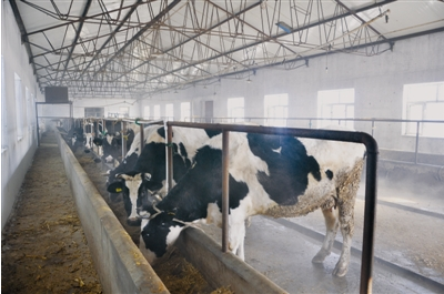 黑龍江齊齊哈爾富?？h光明乳業(yè) 一拖三加一 恒壓供水設備